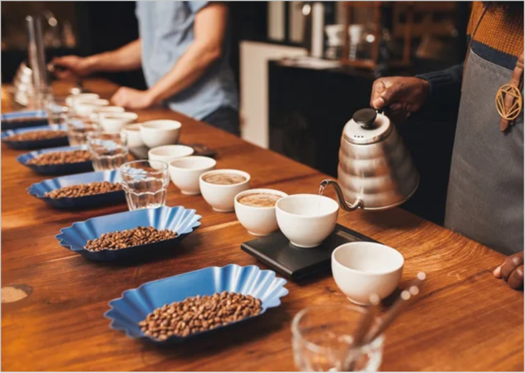 Planta procesadora de café / Degustación 